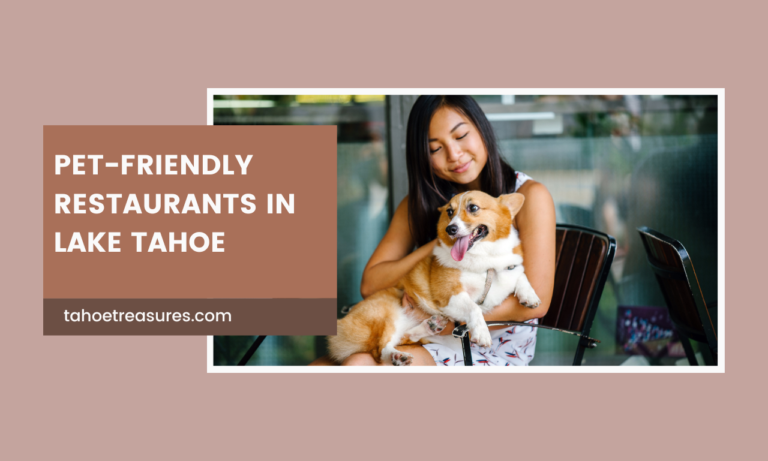 Top 5 Pet-Friendly Restaurants in Lake Tahoe: Dining with Your Dog