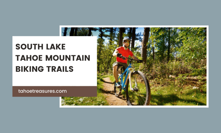 South Lake Tahoe Mountain Biking Trails: 8 Unforgettable Trails for Every Rider